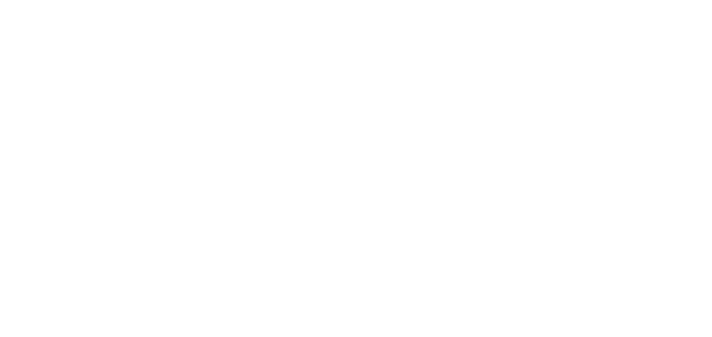 Roxcks logo wit